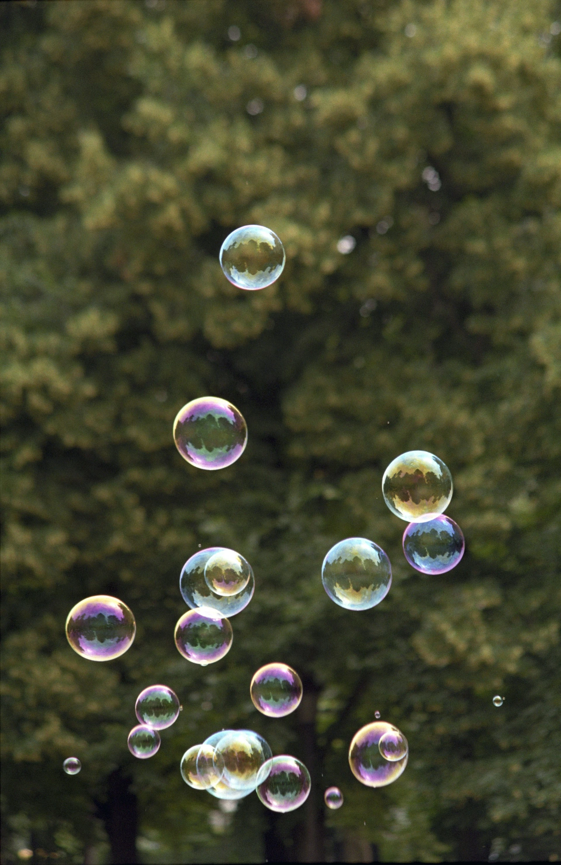 Bubble