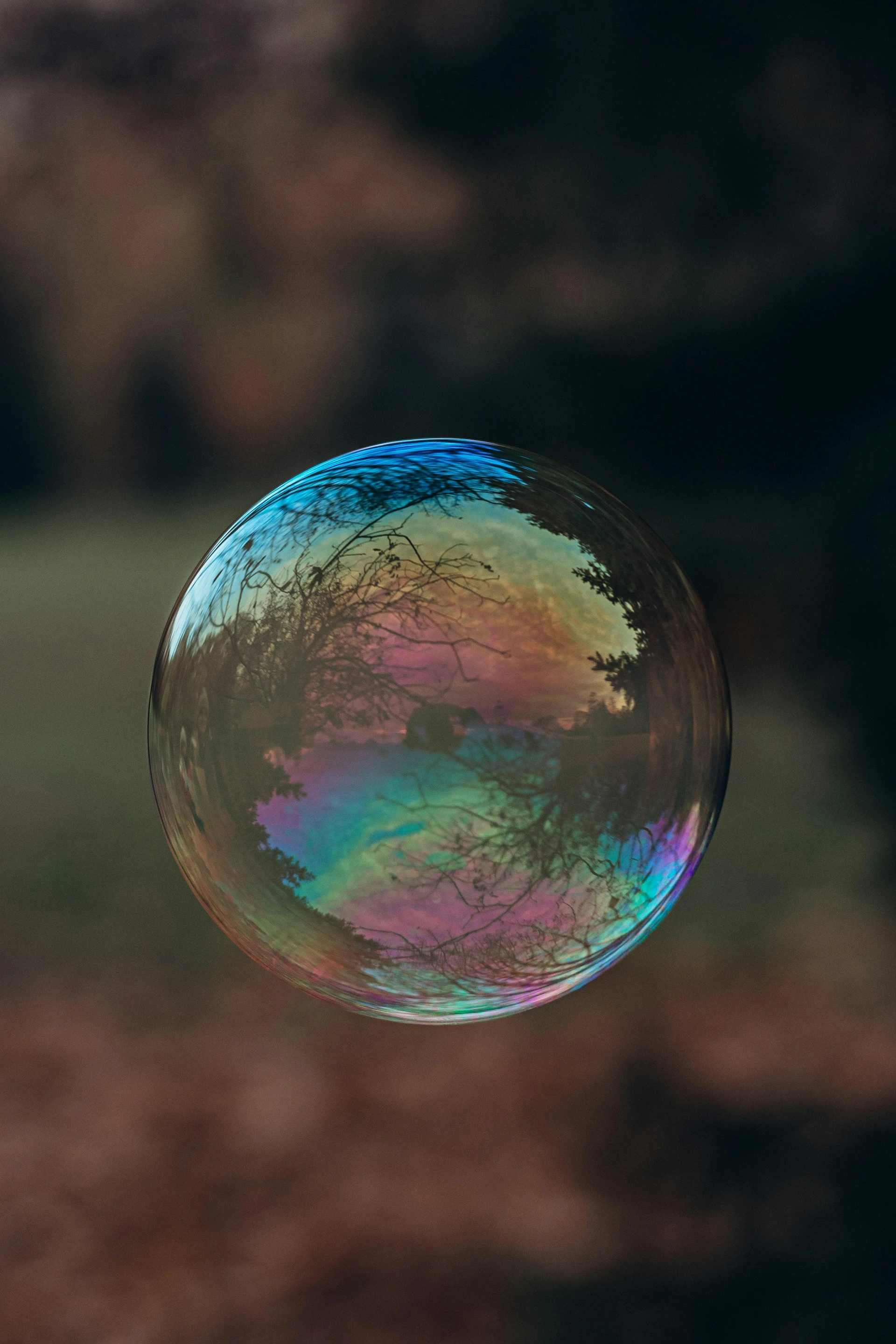 Bubble